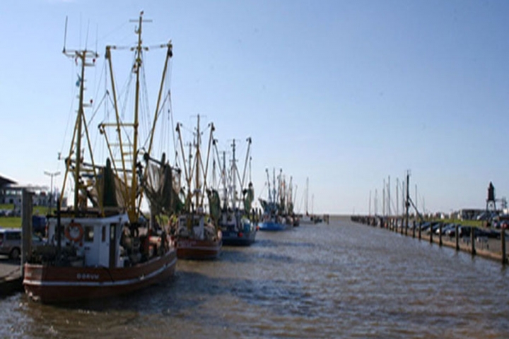 Krabbenkutter im Hafen