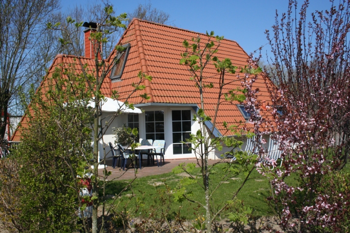 Ihr Ferienhaus direkt hinter dem Nordseedeich