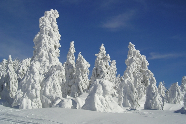 Winterimpressionen