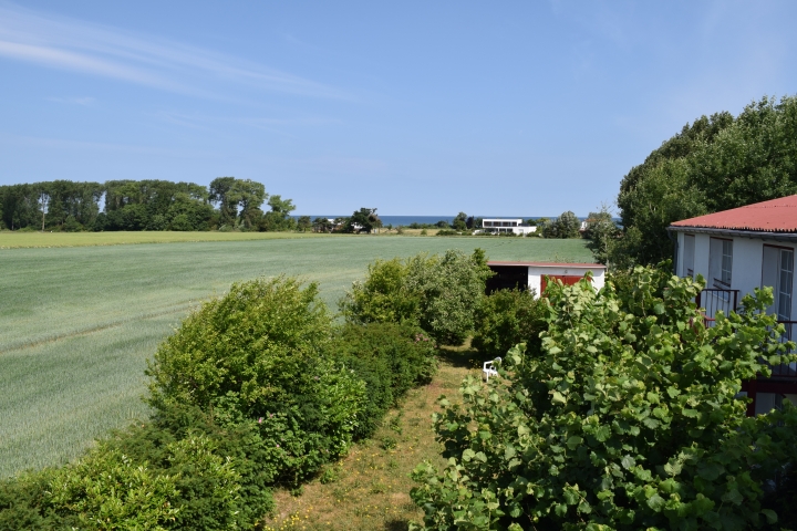 Vorgarten