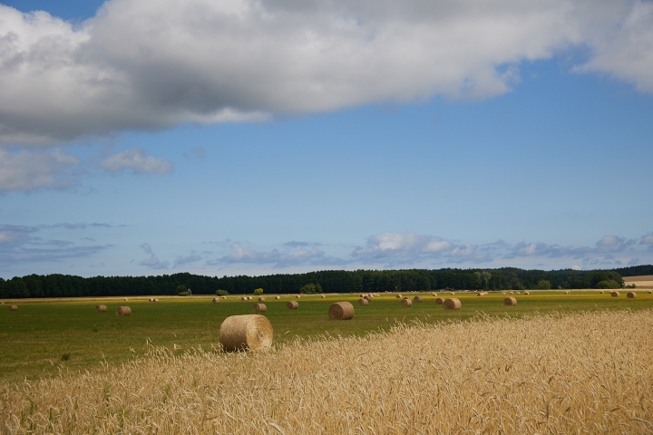 Geballte Natur rund um Ulrichshorst