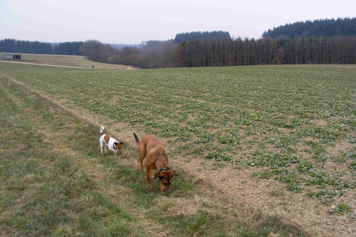 Zwei auf Entdeckungsreise