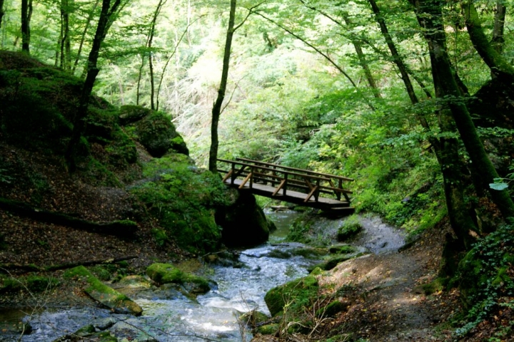 Wanderung durch die Ehrbachklamm