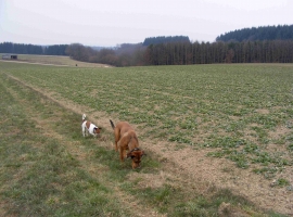 Zwei auf Entdeckungsreise