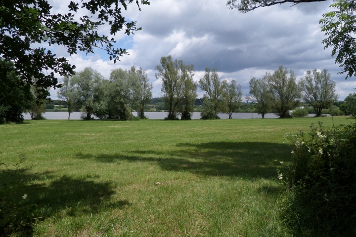 der Rottauensee bei Pfarrkirchen - schöne Liegewiese