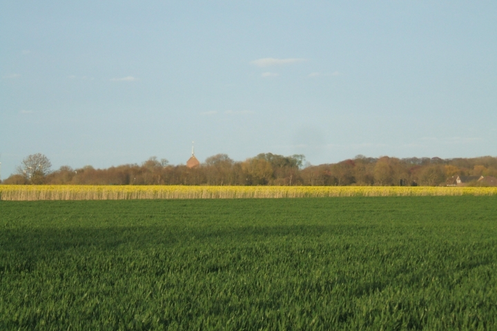 Hamswehrumer Feldweg mit Blick auf Groothusen
