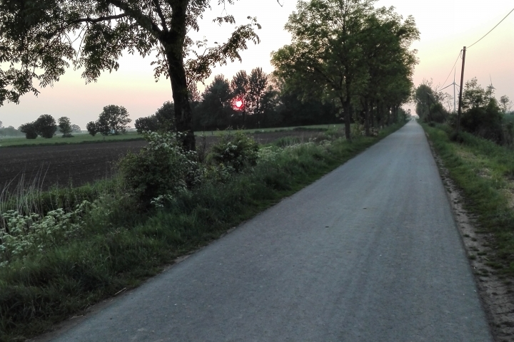 Unser täglicher Gassiweg