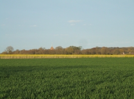 Foto 15