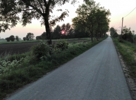 Foto 22