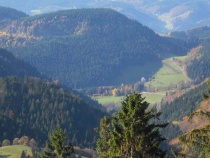 Mitten im Schwarzwald