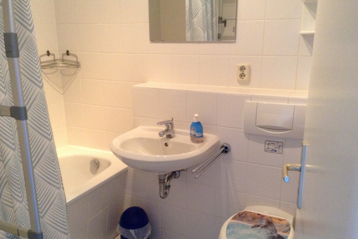 Badeszimmer mit Dusch-Badewanne