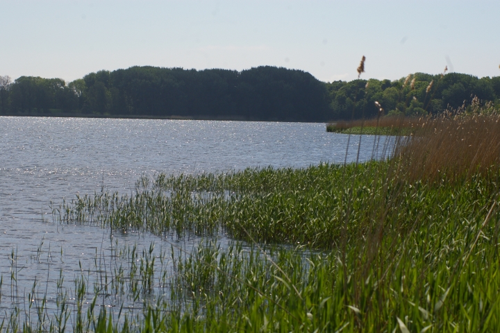 Schoritzer Wiek