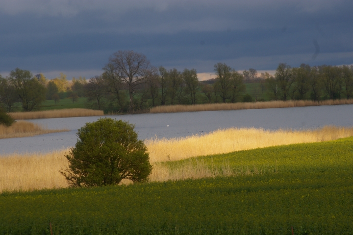 Boddenblick am Abend