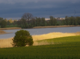 Boddenblick am Abend