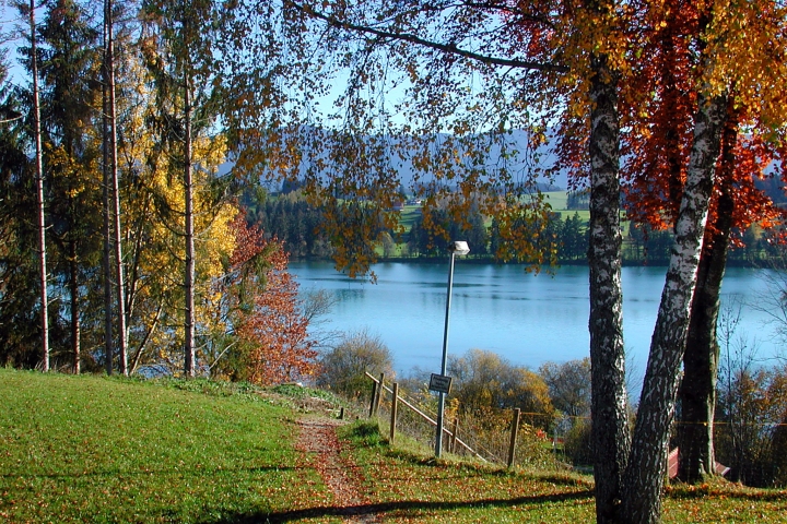 vom Haus gehen Sie hier hinunter zum Lechsee