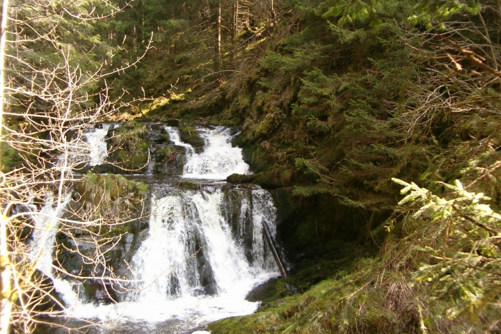 Blick in die Rötenbachschlucht
