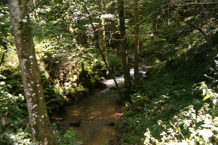 Ravennaschlucht