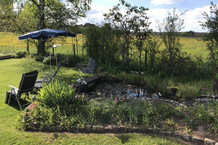 Blick auf den Gartenteich