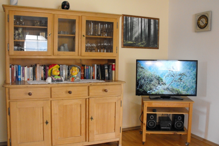 LED-TV Anlage mit DVD Bücher Spiele