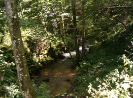 Foto 20