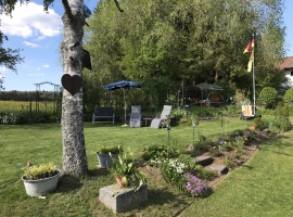 Foto 13