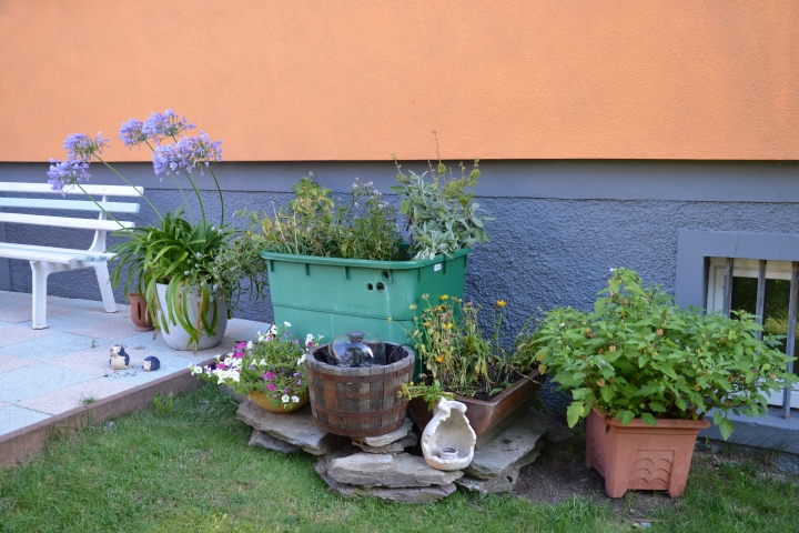 Kräuterecke im Garten