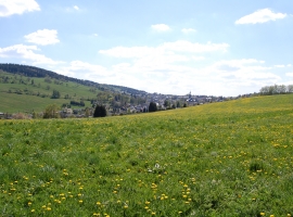 Landschaft um Oberweißbach