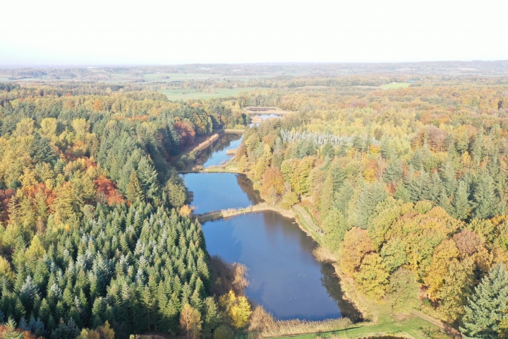 unsere Teiche liegen mitten im Wald