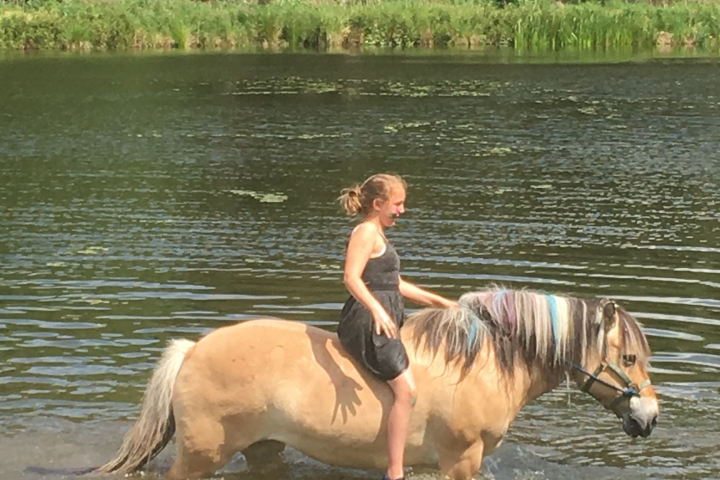 Auch die Pferde gehen gerne ins Wasser