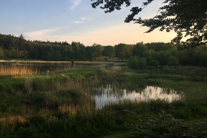 schöne Teichlandschaft