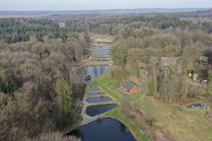 Haus am Teich