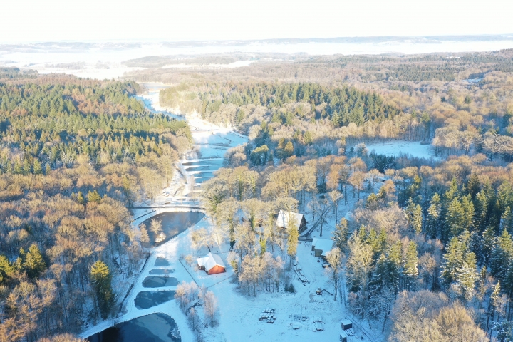 Teichlandschaft im Winter