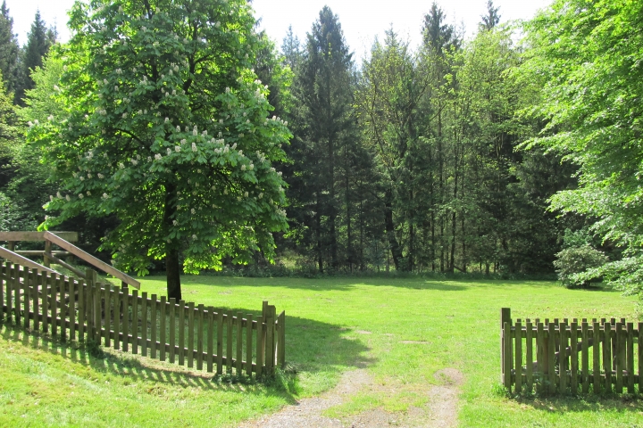 großes Rasengrundstück