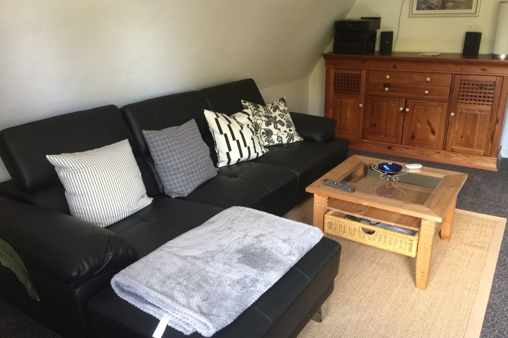Neue und bequeme Ledercouch 