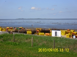 Foto 23