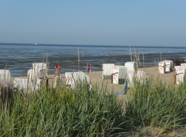 Foto 20