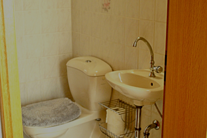 Toilette Typ B (2-Zi-App 55 qm)