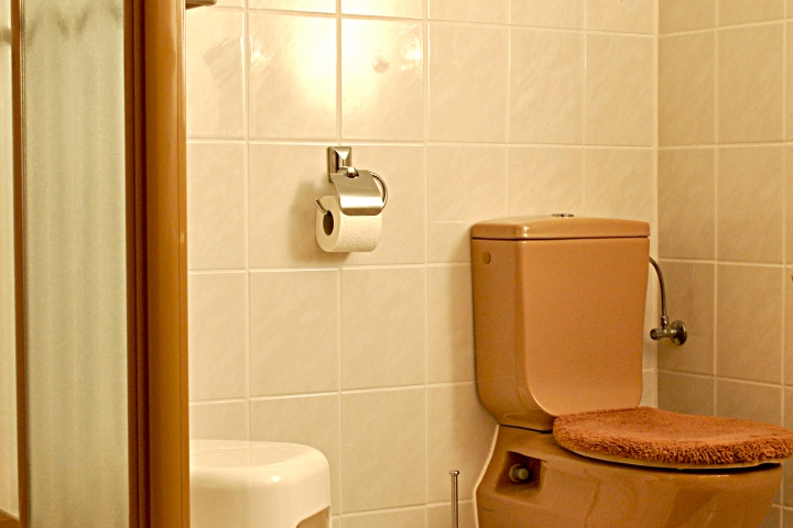 Beispiel Bad/Dusche Typ A (1-Zi-App 40qm)