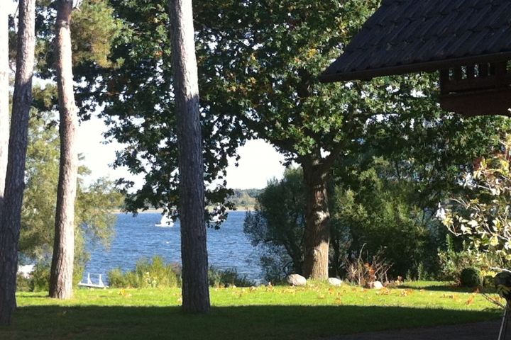 Das rege Treiben auf der Müritz beobachten!