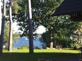Das rege Treiben auf der Müritz beobachten!