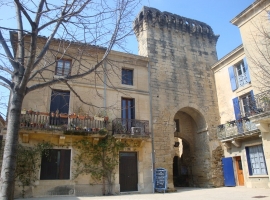 Foto 15