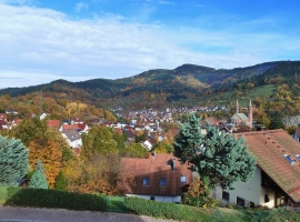 Foto 22