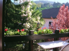 Foto 26