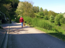 Wanderwege 200 m oberhalb des Hauses