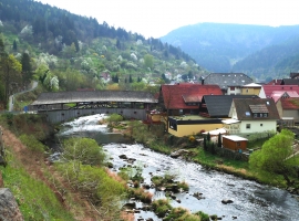 Foto 10