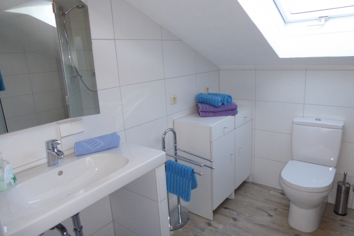 Duschbad mit Toilette, zusätzlich gibt es ein separates WC