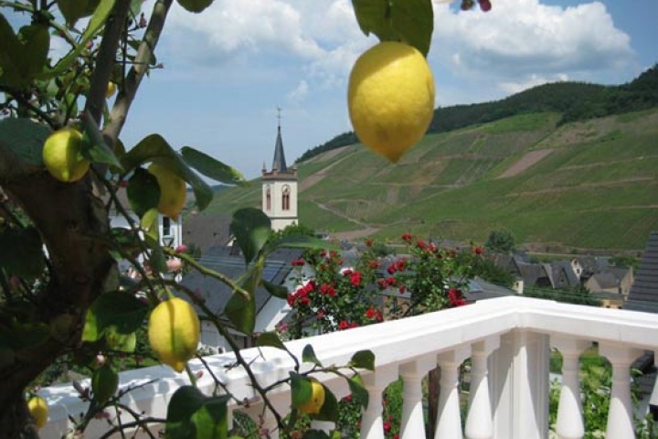 Blick über den Moselort Reil