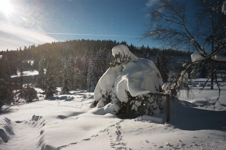 Unser Garten im Winter