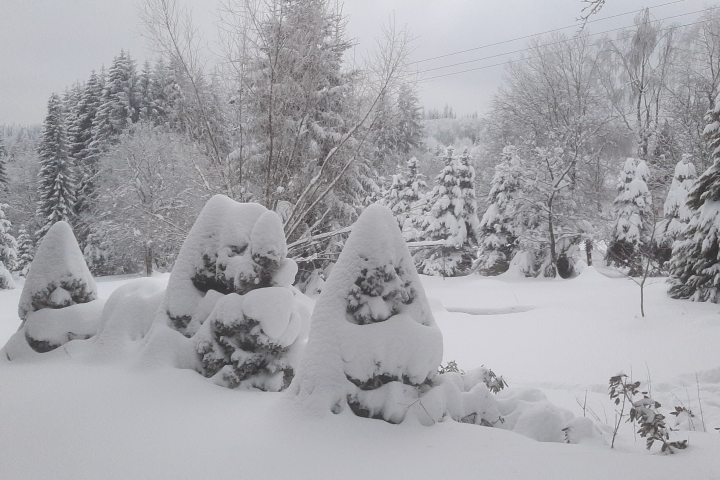 Unser Garten im Winter