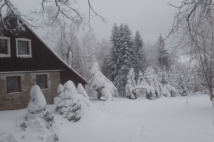 Ferienhausansicht mit Garten im Winter